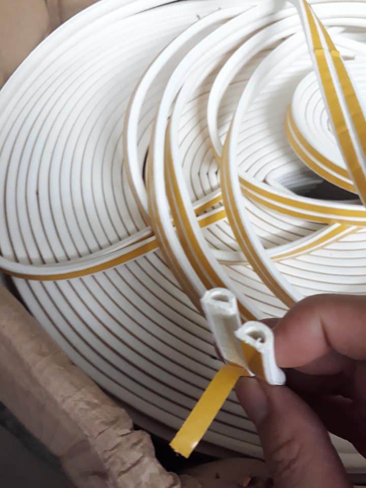 gioang cua kinh cuong luc tiet dien chu P D xop